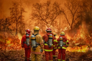 Prévenir les incendies de forêts : les bons gestes